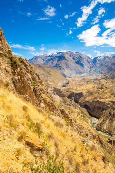 Colca canyon, peru, Jižní Amerika. Inkové vybudovat zemědělství terasy s rybníkem a cliff. jeden z nejhlubších kaňonů světa — Stock fotografie