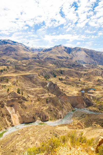 コルカ渓谷、ペルー、南アメリカ。インカ帝国農業段丘崖と池を構築します。世界で最も深い峡谷の 1 つ — ストック写真