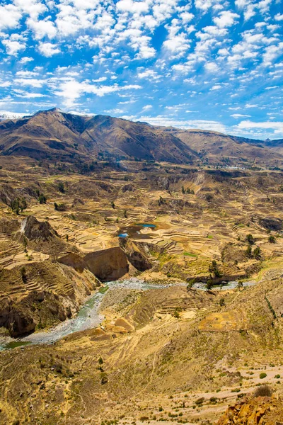 Colca kanion, peru, Ameryka Południowa. Inkowie zbudować rolnictwa tarasy ze stawem i urwiska. jeden z najgłębszych kanionów w świecie — Zdjęcie stockowe