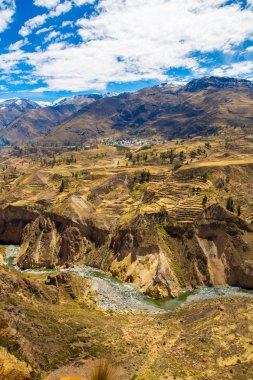 colca Kanyonu, peru, Güney Amerika. İnka tarım teraslarının cliff ve havuz ile inşa etmek. dünyanın en derin kanyonlar biri