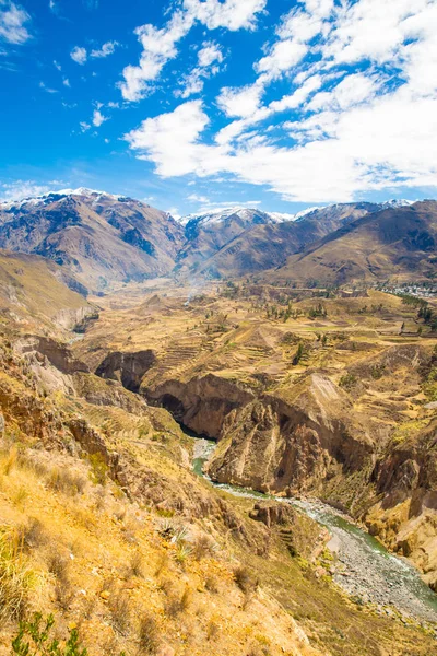 Colca canyon, peru, Jižní Amerika. Inkové vybudovat zemědělství terasy s rybníkem a cliff. jeden z nejhlubších kaňonů světa — Stock fotografie