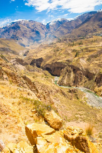 Colca canyon, peru, Jižní Amerika. Inkové vybudovat zemědělství terasy s rybníkem a cliff. jeden z nejhlubších kaňonů světa — Stock fotografie