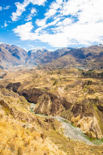 Colca kanion, peru, Ameryka Południowa. Inkowie zbudować rolnictwa tarasy ze stawem i urwiska. jeden z najgłębszych kanionów w świecie — Zdjęcie stockowe