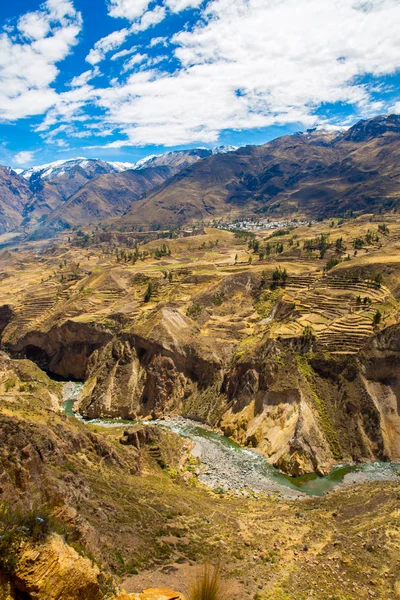 Colca kanion, peru, Ameryka Południowa. Inkowie zbudować rolnictwa tarasy ze stawem i urwiska. jeden z najgłębszych kanionów w świecie — Zdjęcie stockowe