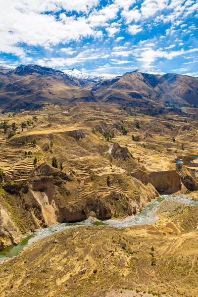 Colca Canyon, Pérou, Amérique du Sud. Incas pour construire des terrasses agricoles avec étang et falaise. L'un des canyons les plus profonds du monde — Photo
