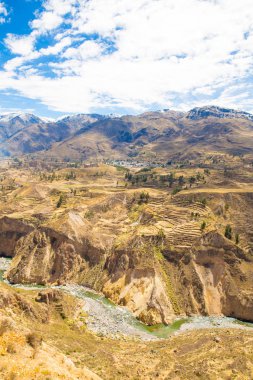 colca Kanyonu, peru, Güney Amerika. İnka tarım teraslarının cliff ve havuz ile inşa etmek. dünyanın en derin kanyonlar biri