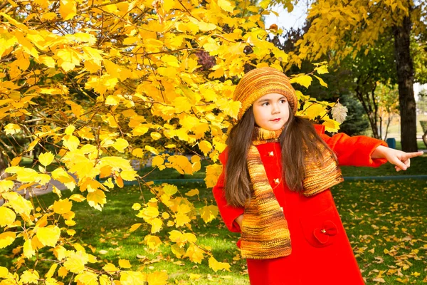 Retrato de outono de kazakh bonito, criança asiática. Menina feliz com folhas no parque no outono . — Fotografia de Stock