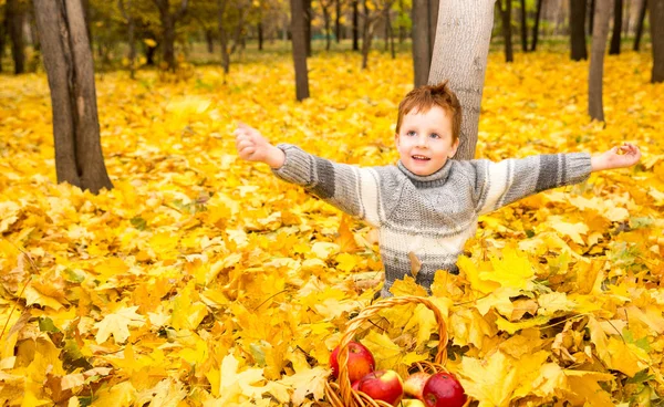 Güzel çocuk sonbahar portresi. Mutlu küçük çocuk parkta güz yaprakları ile. — Stok fotoğraf