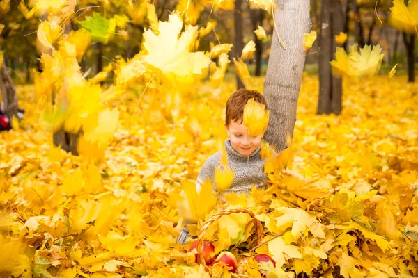 Осенний портрет красивого ребенка. Счастливый маленький мальчик с листьями в парке осенью . — стоковое фото