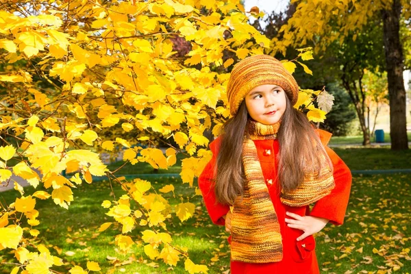 Hösten porträtt av vackra kazakiska, asiatiska barn. Lycklig liten flicka med blad i parken i höst. — Stockfoto