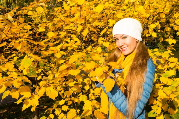 Podzimní portrét krásné ženy nad žluté listy na procházce v parku na podzim. Pozitivní emoce a štěstí koncepce. — Stock fotografie