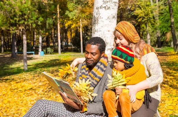 Família feliz no parque de outono. Família afro-americana: pai negro, mãe e menino na natureza no outono . — Fotografia de Stock