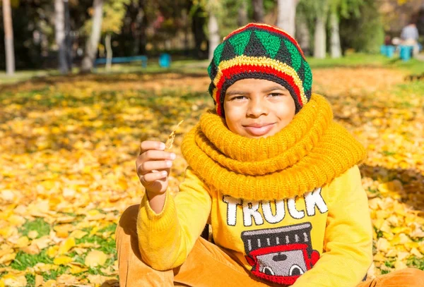 アフリカ系アメリカ人の美しい子供の秋の肖像画。秋の公園で葉を持つ幸せの小さな黒人の男の子. — ストック写真