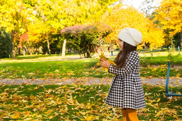 美しいカザフ語、アジアの子供の秋の肖像画。秋の公園で葉との幸せな女の子. — ストック写真