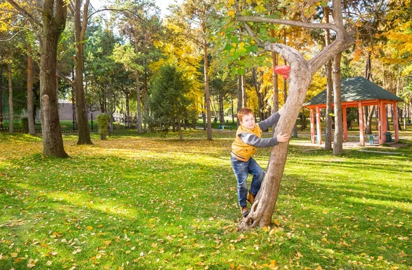 Осенний портрет красивого ребенка. Счастливый маленький мальчик на дереве в парке осенью . — стоковое фото