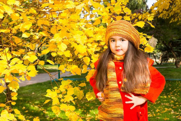 Güzel Kazak, Asyalı çocuk sonbahar portresi. Mutlu küçük kız parkta güz yaprakları ile. — Stok fotoğraf