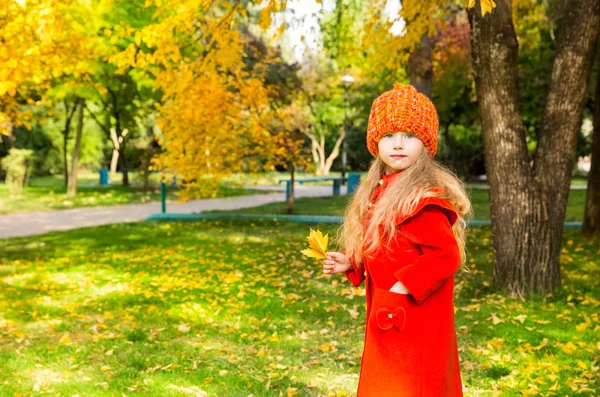 Herfst portret van mooi kind. Gelukkig klein meisje met bladeren in het park in de herfst. — Stockfoto