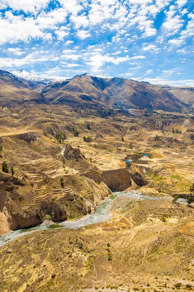 Colca kanion, peru, Ameryka Południowa. Inkowie zbudować rolnictwa tarasy ze stawem i urwiska. jeden z najgłębszych kanionów w świecie — Zdjęcie stockowe