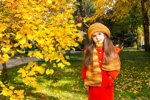 Hösten porträtt av vackra kazakiska, asiatiska barn. Lycklig liten flicka med blad i parken i höst. — Stockfoto