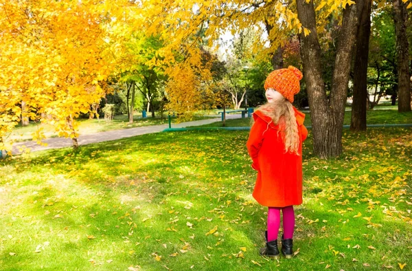 Retrato de otoño de un niño hermoso. Niña feliz con hojas en el parque en otoño . — Foto de Stock
