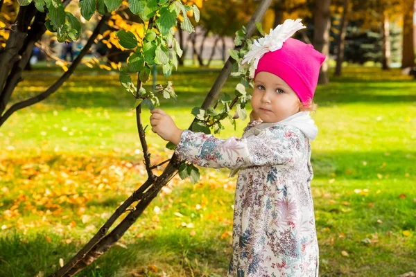 Gyönyörű gyermek őszi portréja. Boldog kis lány a parkban, őszi levelekkel. — Stock Fotó