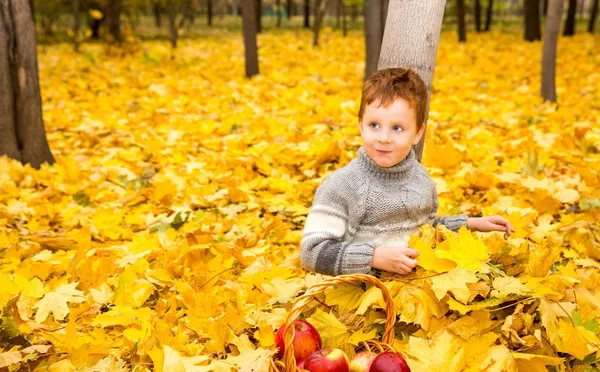 Güzel çocuk sonbahar portresi. Mutlu küçük çocuk parkta güz yaprakları ile. — Stok fotoğraf