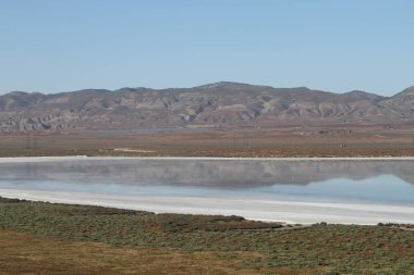 Superbloom Carrizo düz Ulusal Anıtı
