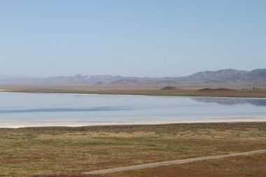 Superbloom Carrizo düz Ulusal Anıtı