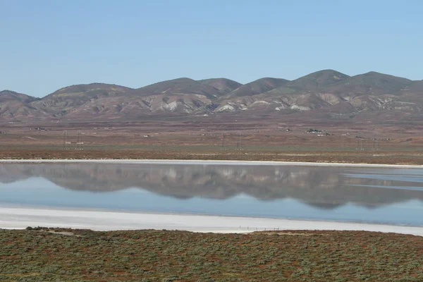 Superbloom Carrizo monumento nacional llano — Foto de Stock