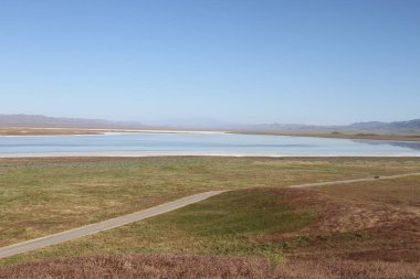 Superbloom Carrizo düz Ulusal Anıtı