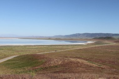 Superbloom Carrizo düz Ulusal Anıtı