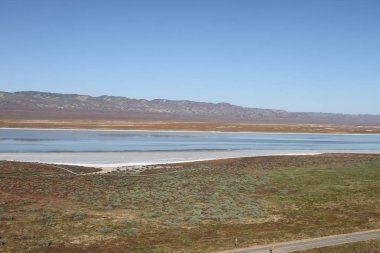 Superbloom Carrizo düz Ulusal Anıtı