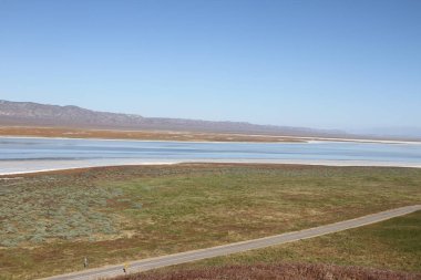 Superbloom Carrizo düz Ulusal Anıtı