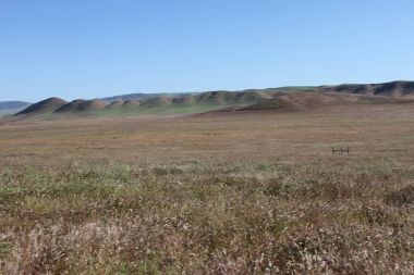 Superbloom Carrizo düz Ulusal Anıtı