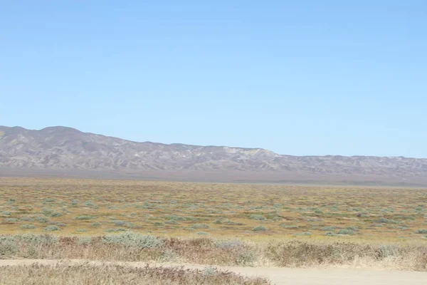 Superbloom Carrizo monumento nacional llano — Foto de Stock