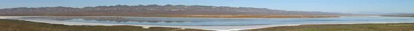 Superbloom Carrizo plain national monument — Stockfoto