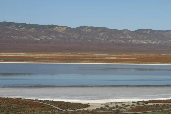 Superbloom Carrizo pianura monumento nazionale — Foto Stock