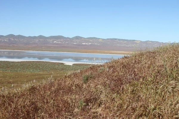 Superbloom Carrizo zwykły pomnik narodowy — Zdjęcie stockowe