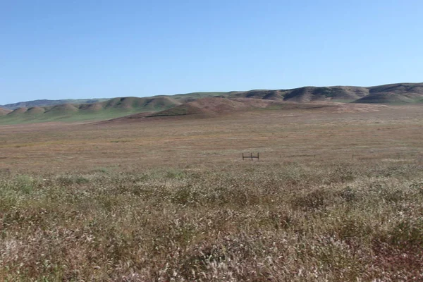 Superbloom Carrizo sima nemzeti emlékmű — Stock Fotó