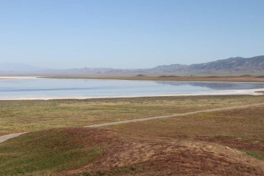 Superbloom Carrizo düz Ulusal Anıtı