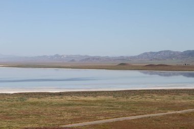 Superbloom Carrizo düz Ulusal Anıtı