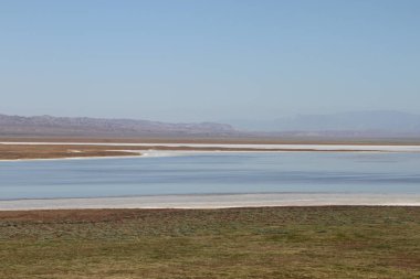 Superbloom Carrizo düz Ulusal Anıtı