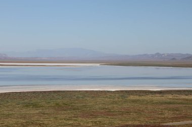 Superbloom Carrizo düz Ulusal Anıtı
