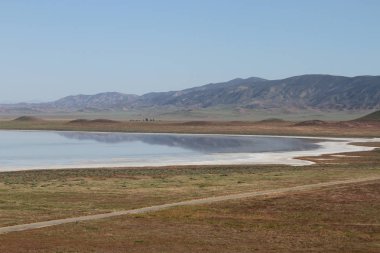 Superbloom Carrizo düz Ulusal Anıtı