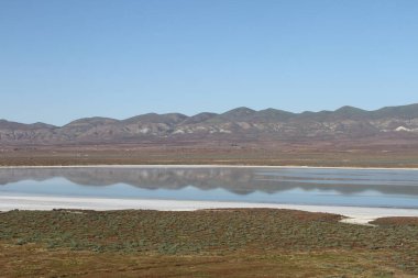 Superbloom Carrizo düz Ulusal Anıtı