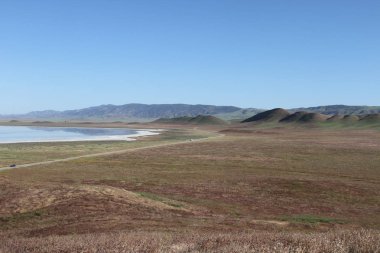 Superbloom Carrizo düz Ulusal Anıtı