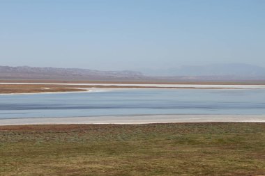 Superbloom Carrizo düz Ulusal Anıtı