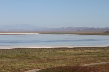 Superbloom Carrizo düz Ulusal Anıtı