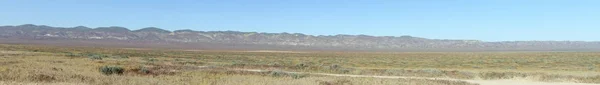 Superbloom Carrizo plain national monument — Stockfoto