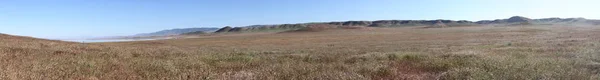 Superbloom Carrizo monumento nacional llano —  Fotos de Stock